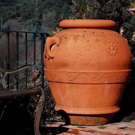Conca Di Sopra Home Corsanico-Bargecchia Eksteriør bilde