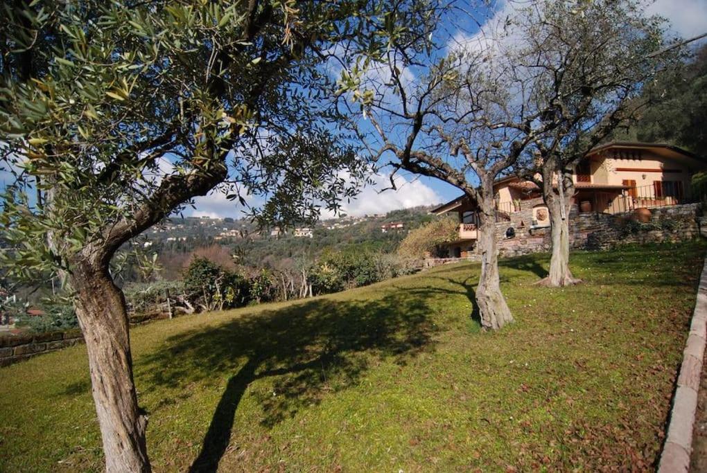 Conca Di Sopra Home Corsanico-Bargecchia Eksteriør bilde